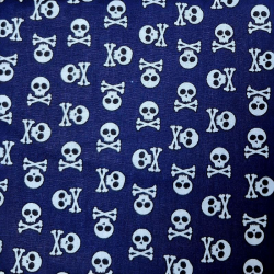 Skull blue