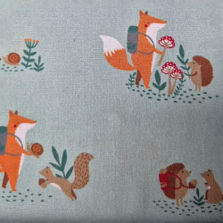 Fox hedgehog silver grey